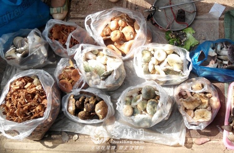 QQ图片20160526113105.jpg