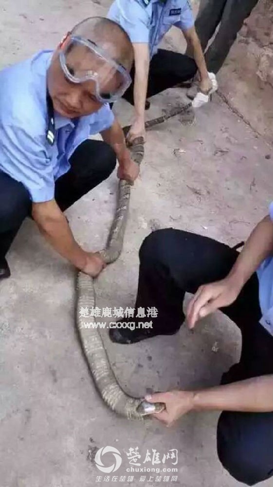 14648399323896.jpg