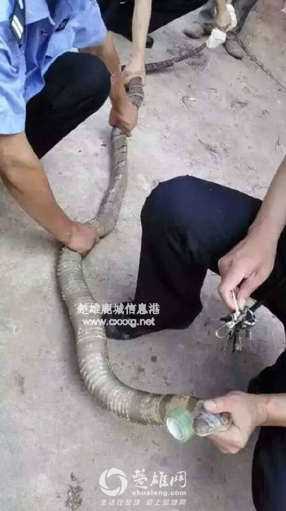 14648399125265.jpg