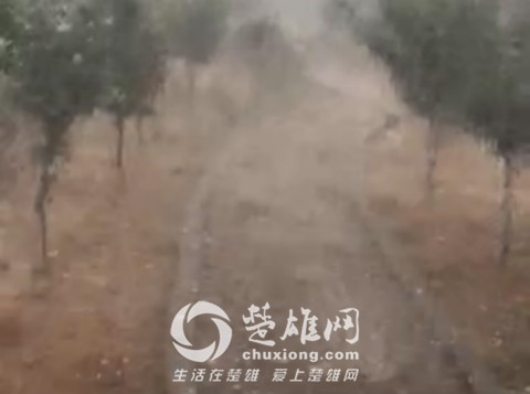 QQ图片20160624111614_meitu_31.jpg