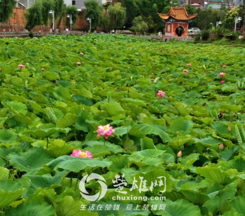 IMG_4847_meitu_47.jpg