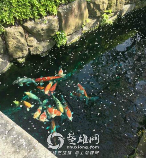 0bcf36a85edf8db13e6d00480123dd54574e748e_meitu_52.jpg