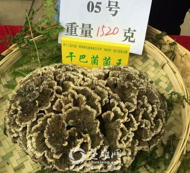 QQ图片20160708115303.jpg