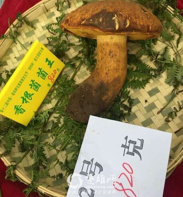 QQ图片20160708115322.jpg