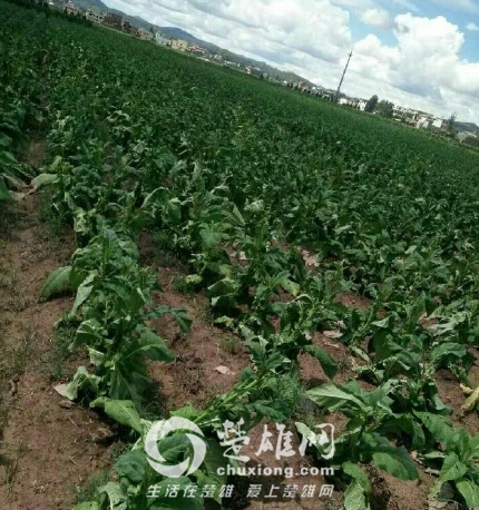 QQ图片20160712084357.png