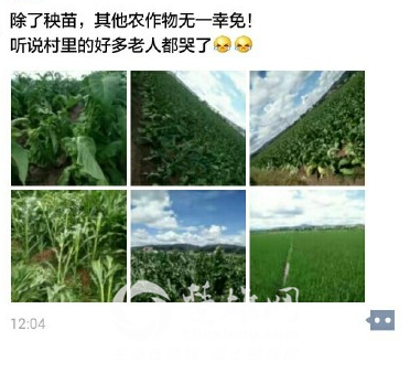 QQ图片20160712084530.png
