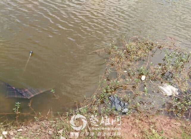 QQ图片20160718083741.jpg