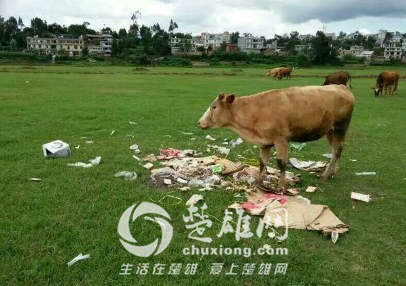 QQ图片20160718083712.png