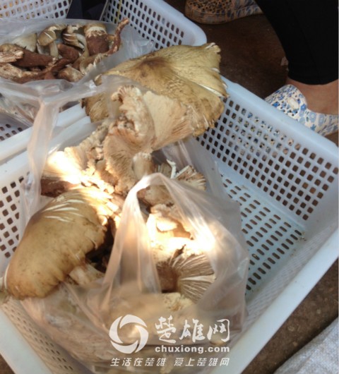 IMG_5422_meitu_24.jpg