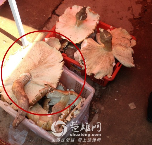 IMG_5427_meitu_23.jpg