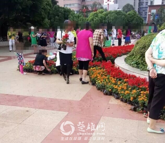 QQ图片20160815170337_副本.jpg