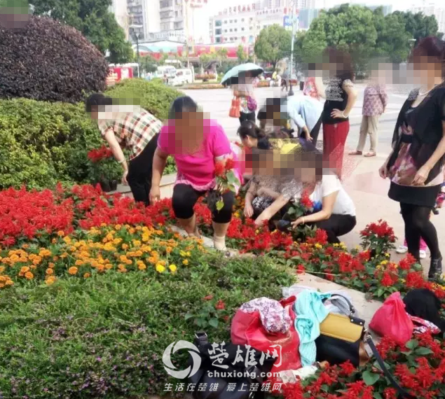 QQ图片20160815165356_副本.png