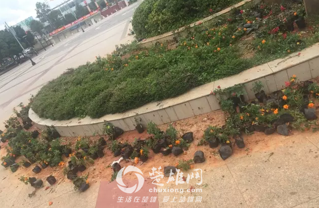 QQ图片20160815165418.png