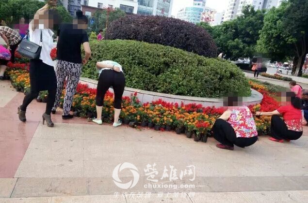 QQ图片20160815165343_副本.jpg