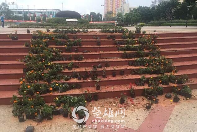 QQ图片20160815165443.jpg
