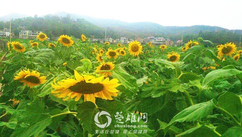 QQ图片20160818104427.jpg