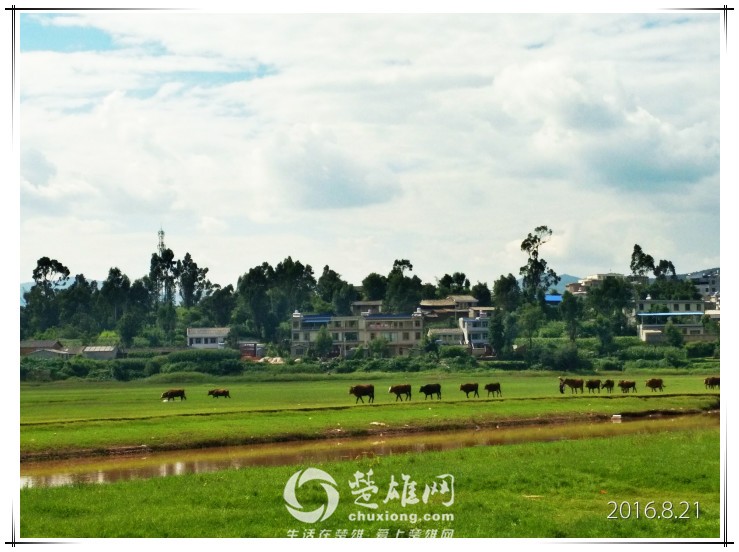 QQ图片20160822144442_meitu_3.jpg