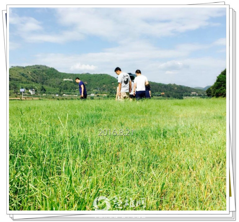 mmexport1471851722572_meitu_4.jpg