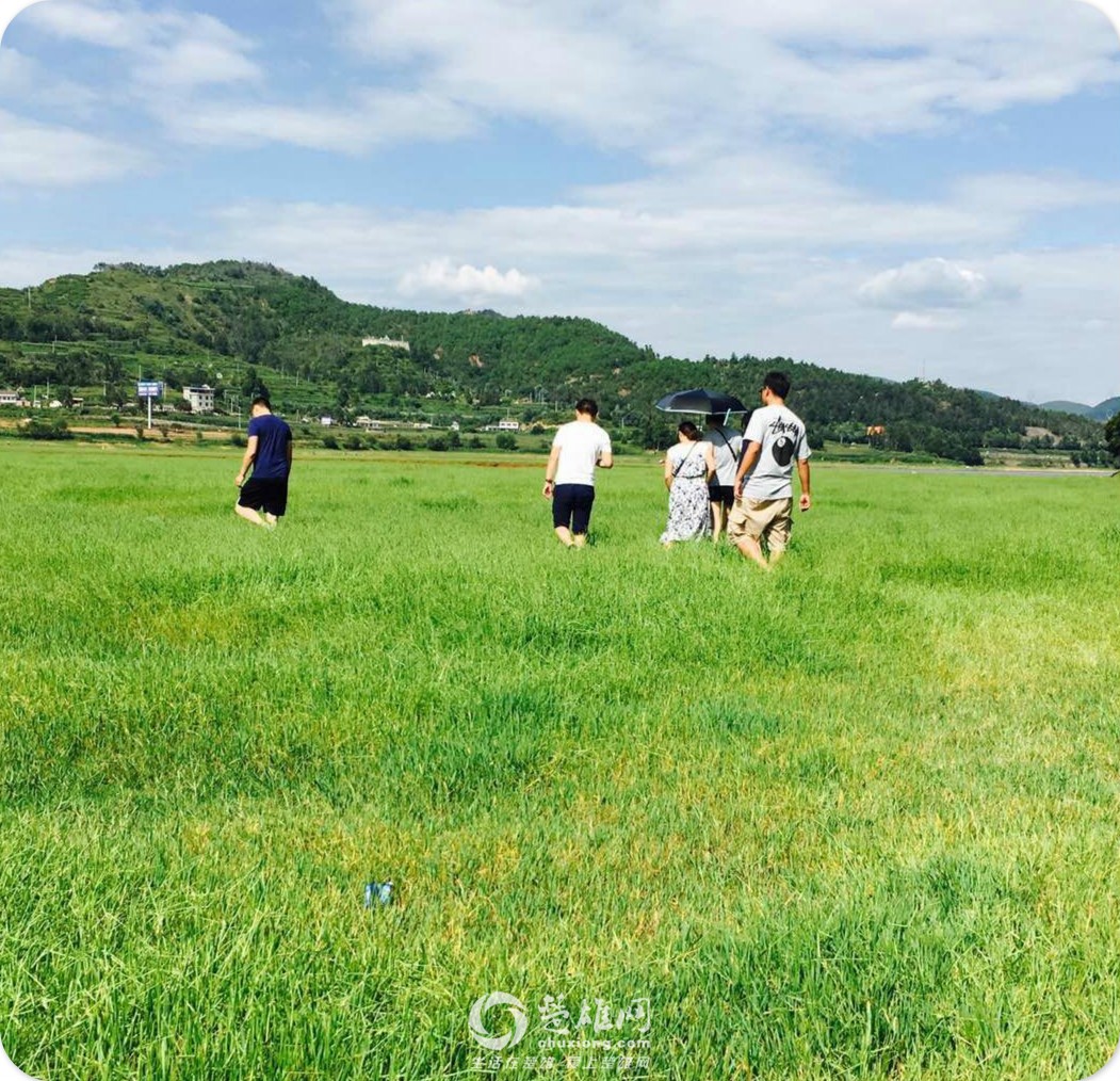 mmexport1471851719052_meitu_6.jpg