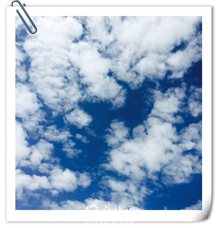 mmexport1471851739160_meitu_10.jpg