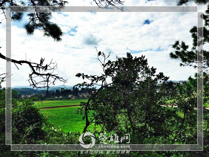 mmexport1471851775372_meitu_9_meitu_11.jpg