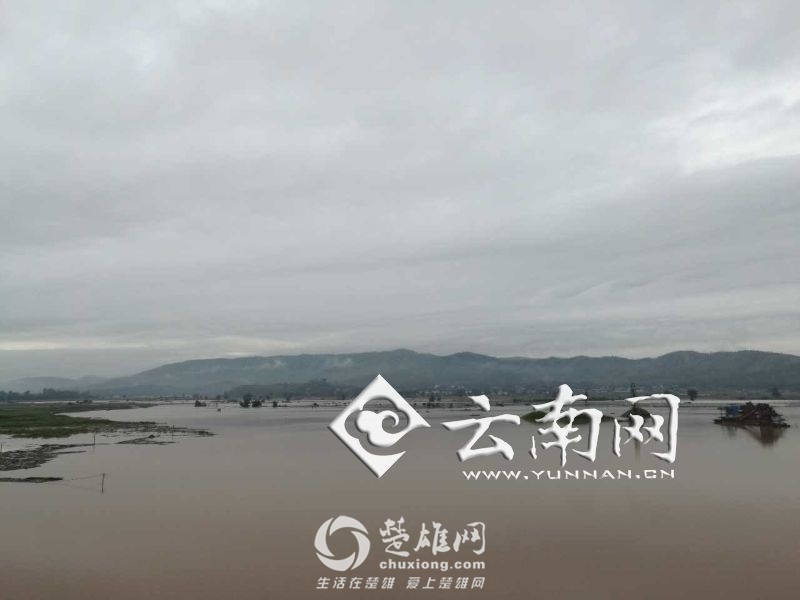 d8cb8a0c6f5b194b87f34f.jpg