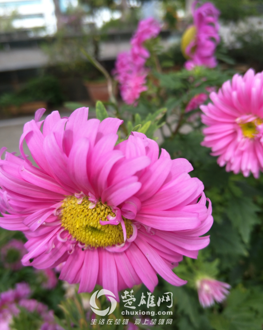 QQ图片20161011144038.png