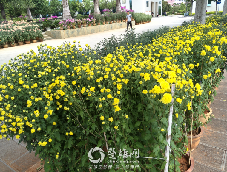 QQ图片20161011143959.png