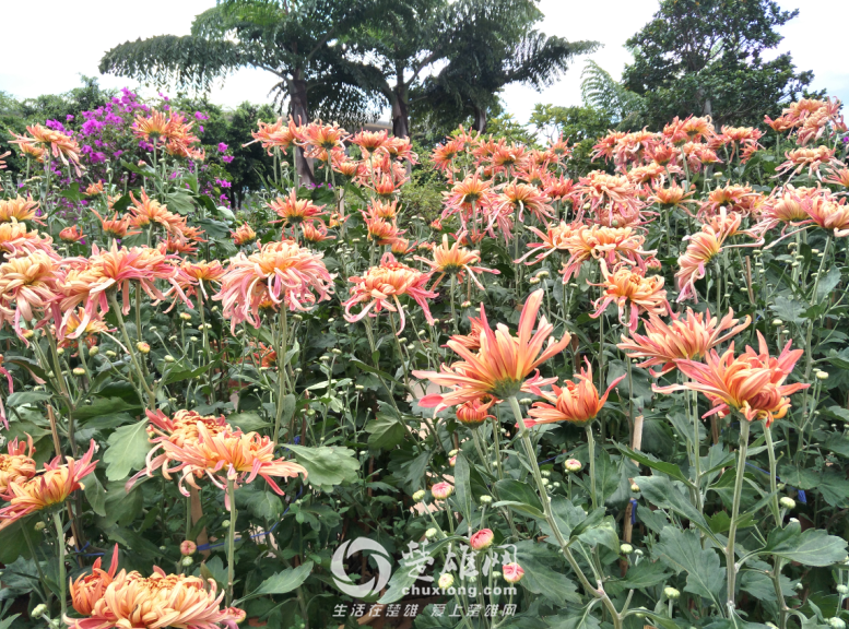 QQ图片20161011143641.png