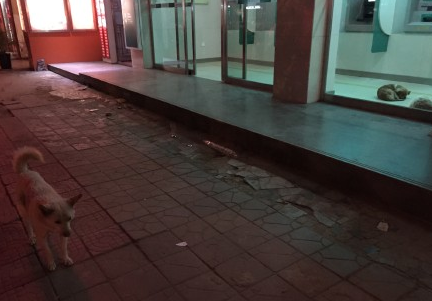 QQ图片20170102104349.png