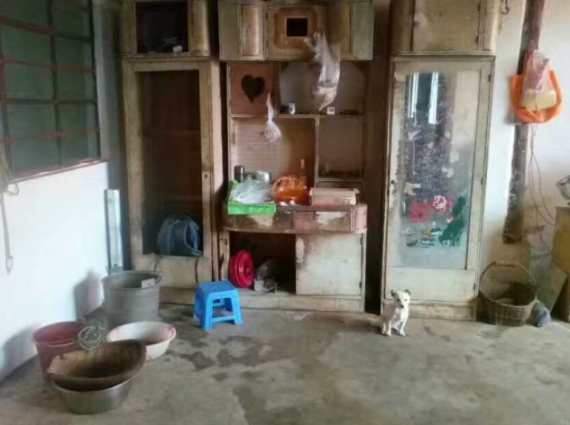 QQ图片20170112160409.png