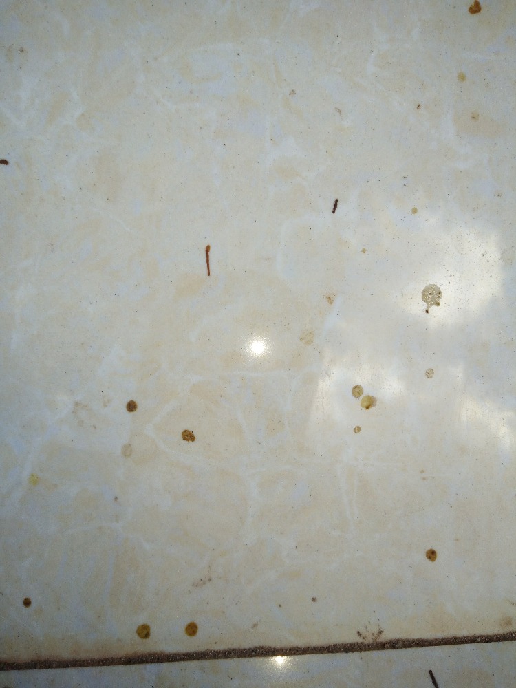 IMG20170112175222.jpg