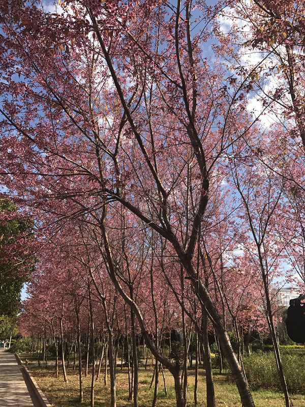 IMG_0649.JPG