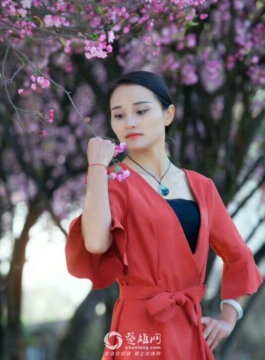 QQ图片20170315132244.png