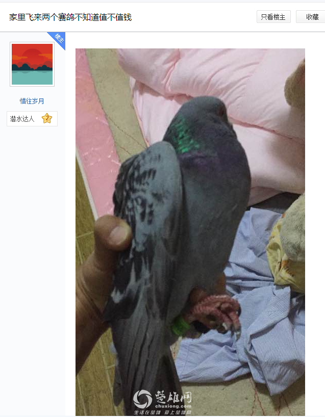 QQ图片20170331085827.png