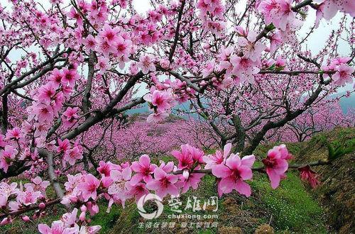 微信图片_20170410085329.jpg