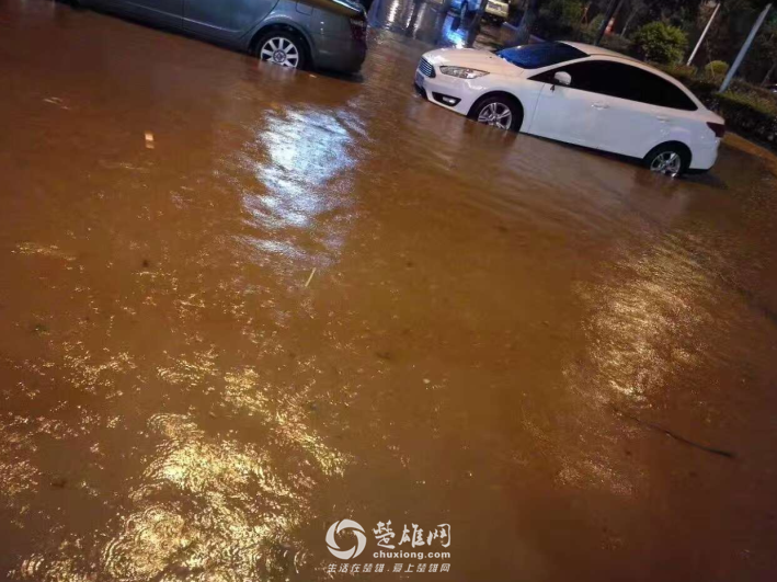 QQ图片20170627081829.png