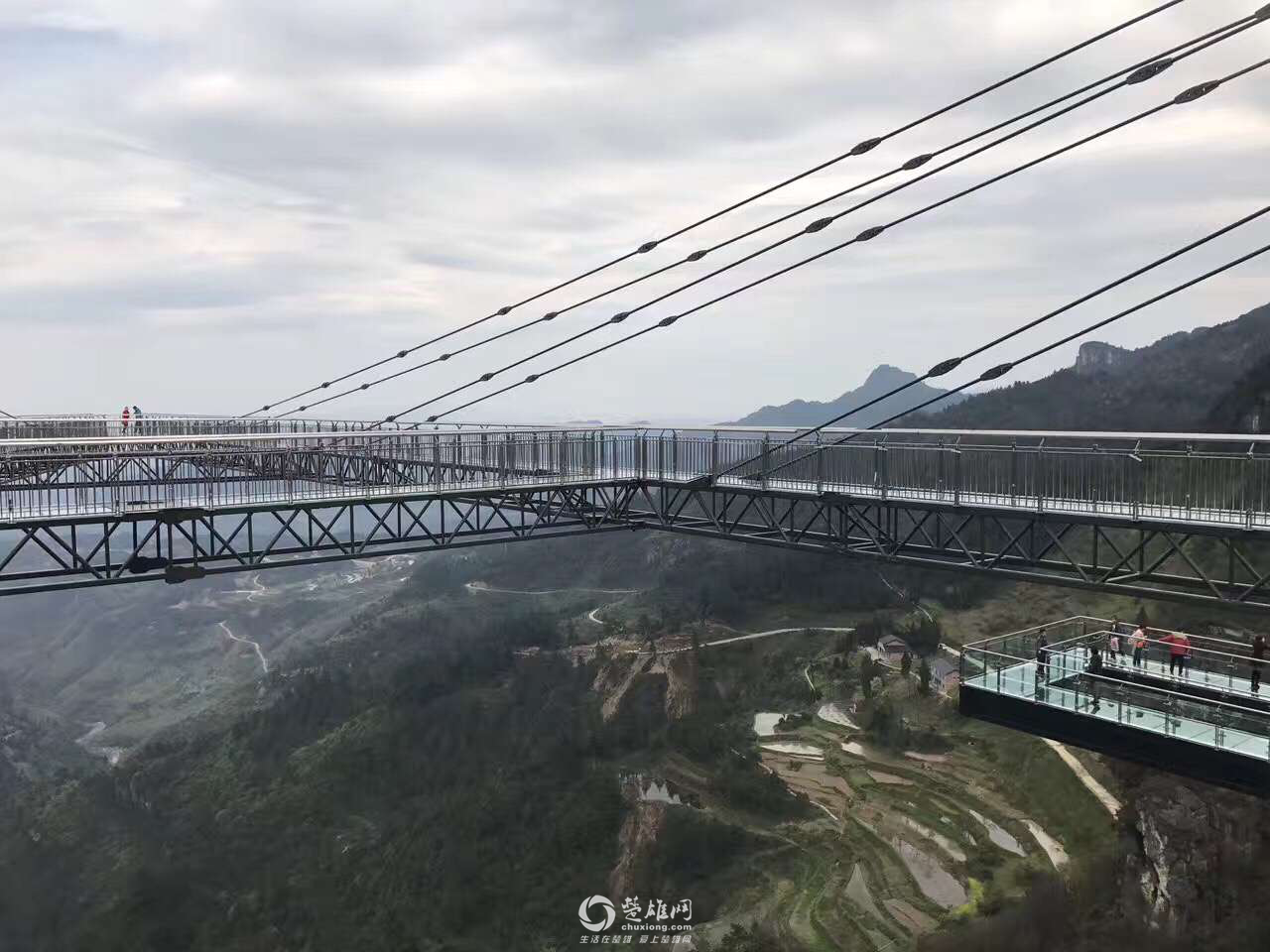 图片5.png