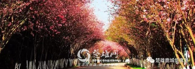 微信图片_20171120194215.jpg