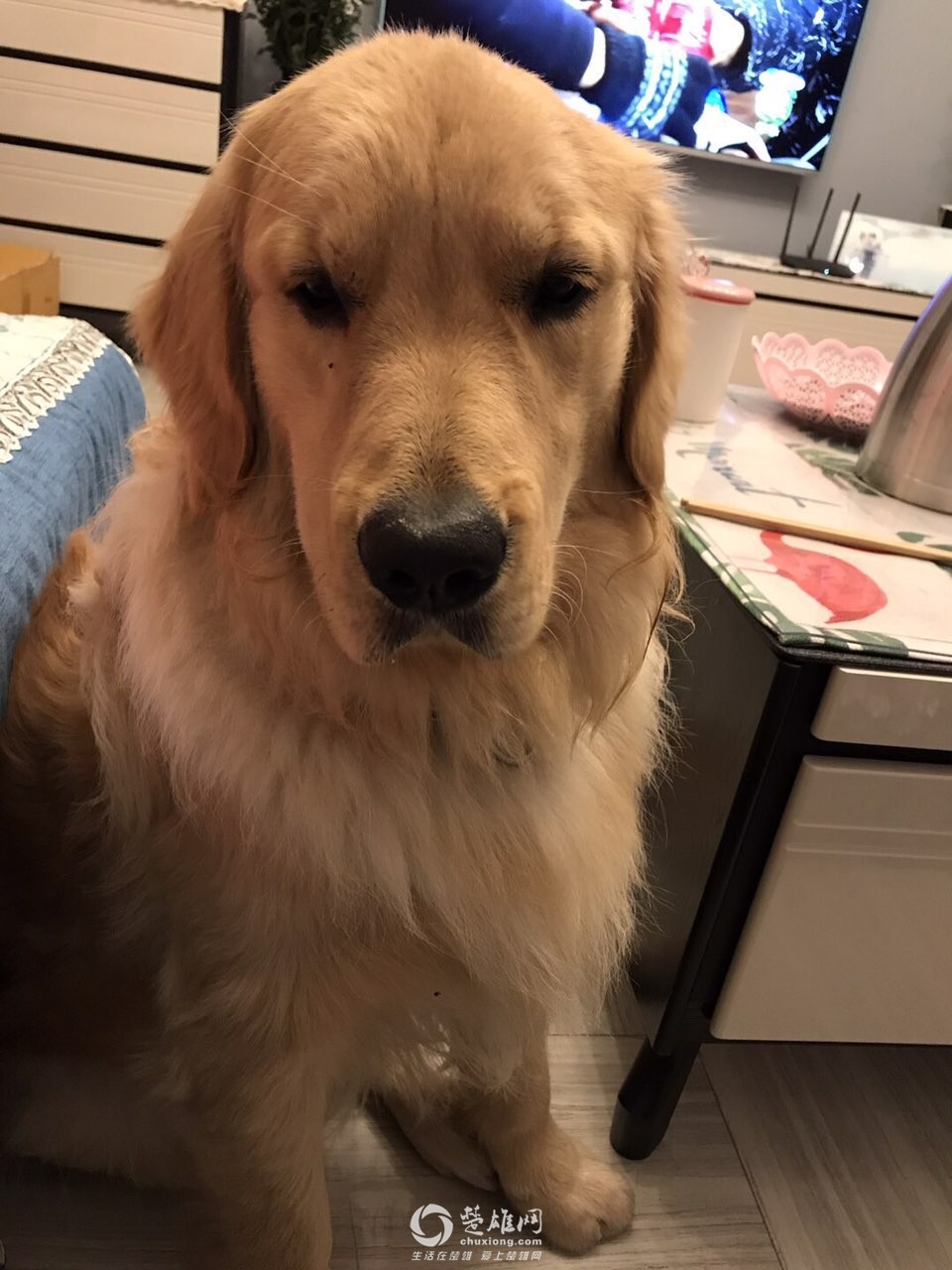 201711272914221511744731651884.jpg