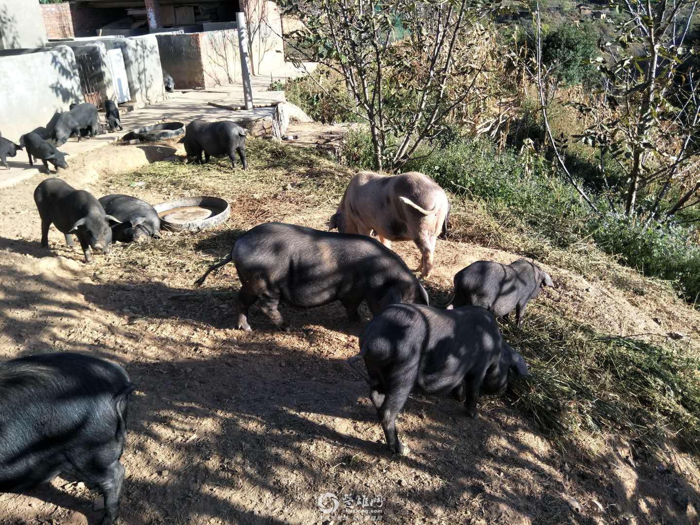 微信图片_20171208164347.jpg