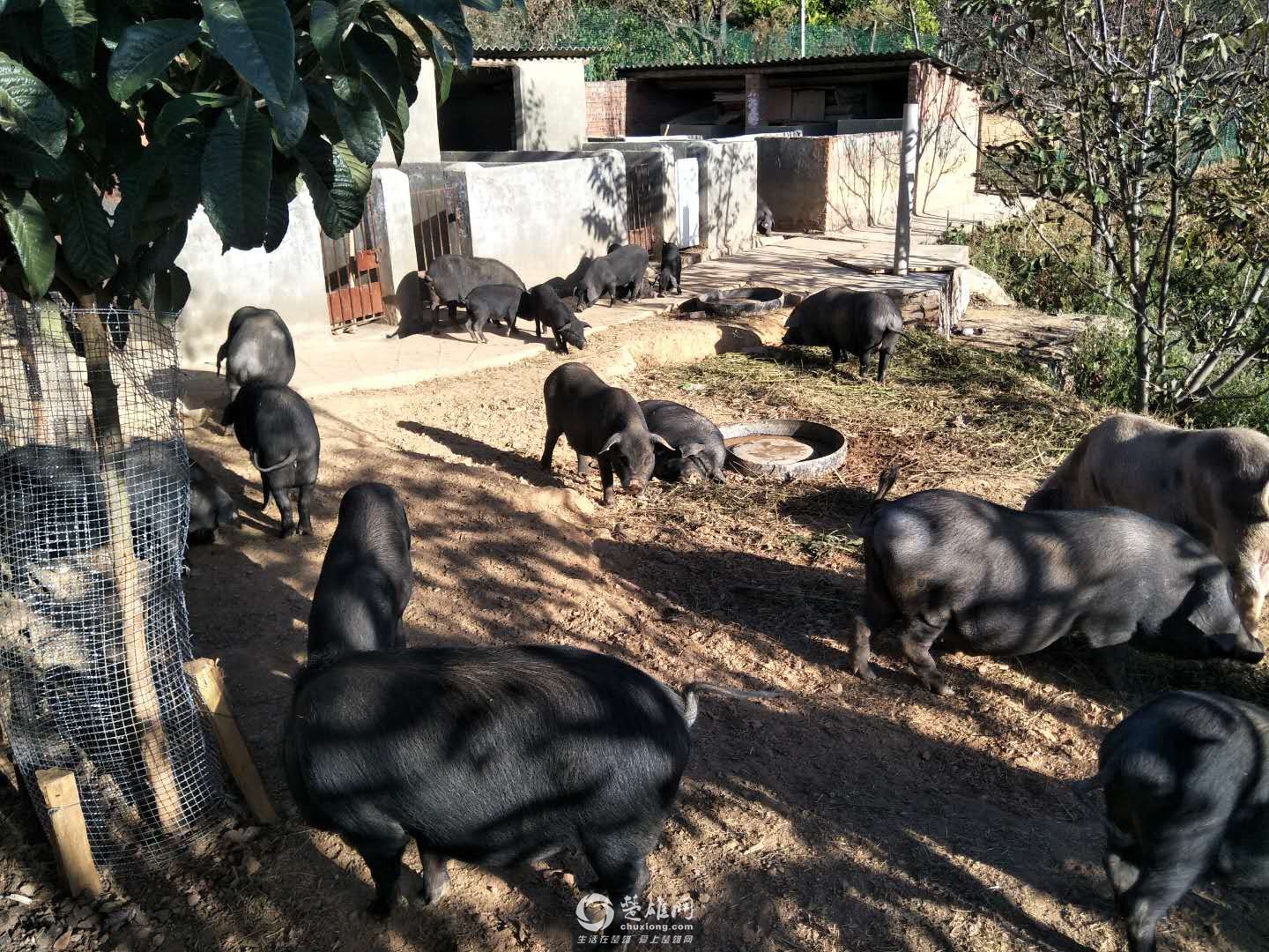 微信图片_20171208164350.jpg