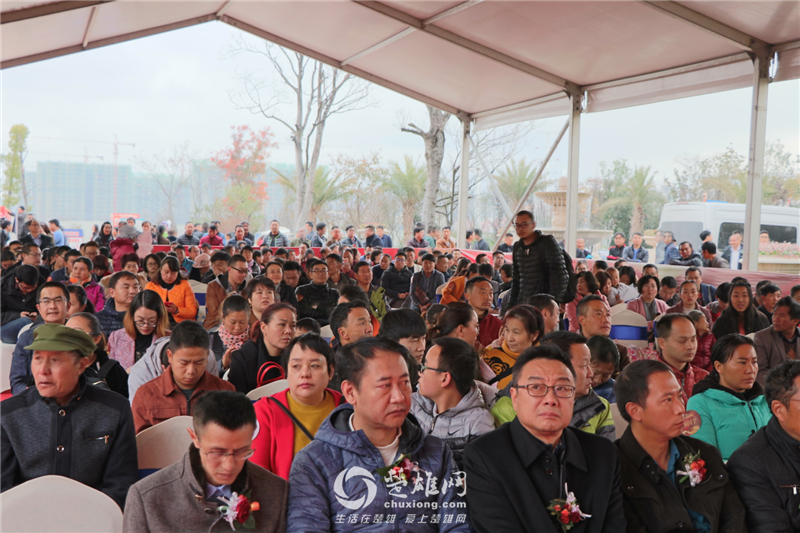 QQ截图20171218150243.png