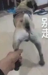 1522803357598564.png