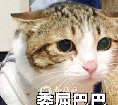 1525308118282011.png