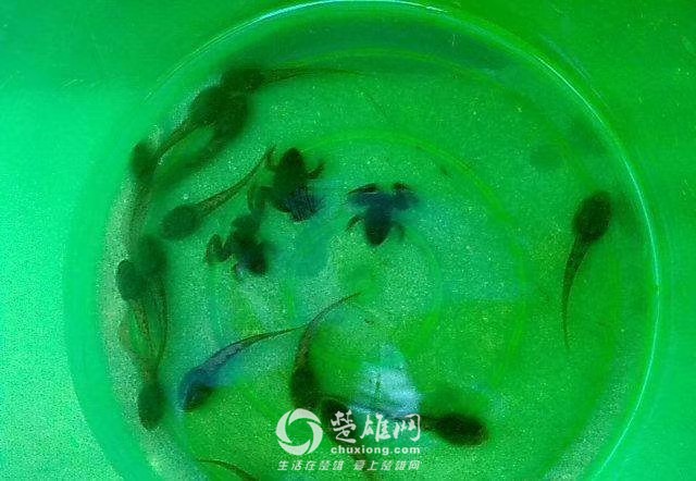 QQ图片20180525154339.jpg