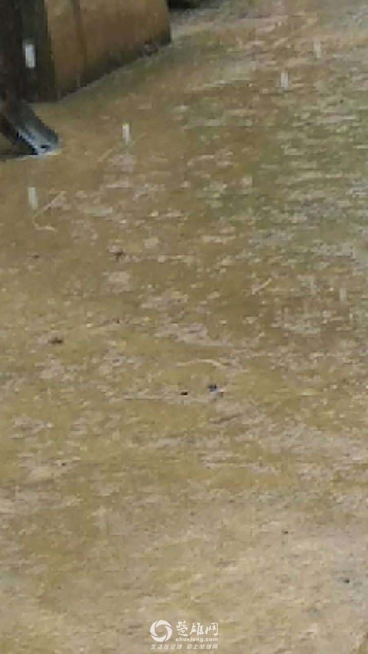 20180611_296877_1528683551587.jpg