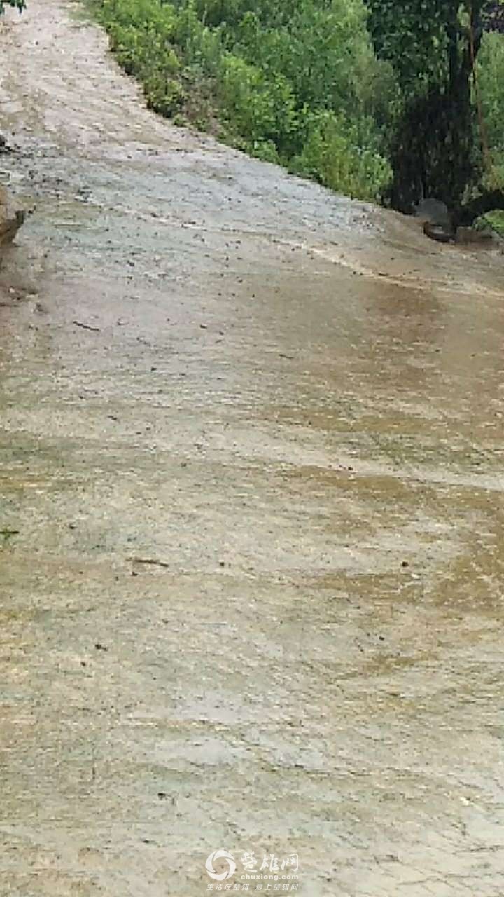 20180611_296877_1528683551688.jpg