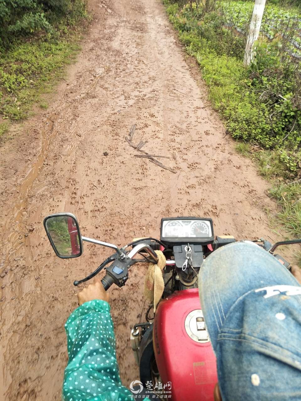 20180611_296877_1528712914222.jpg
