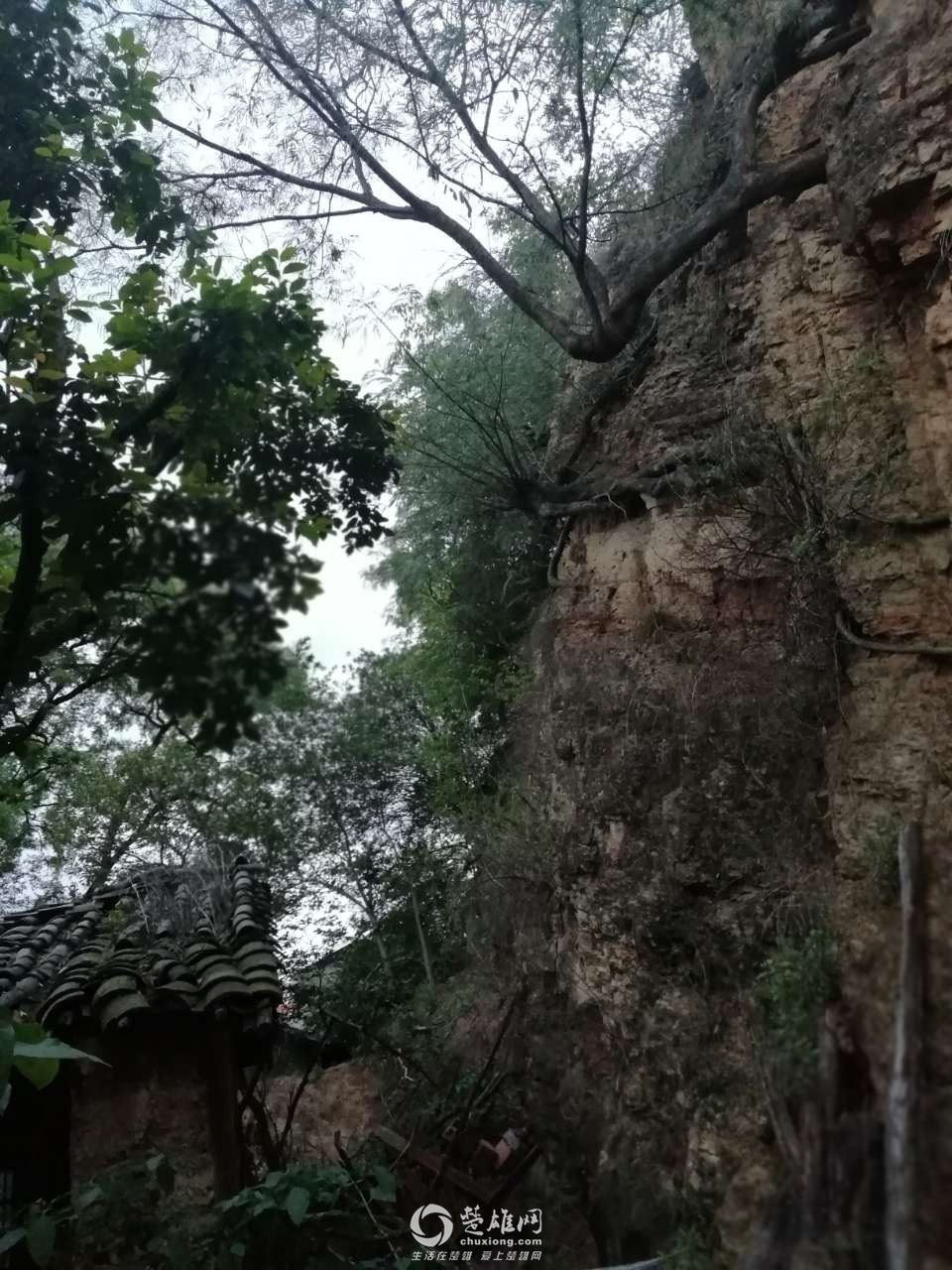 20180613_298023_1528891384550.jpg